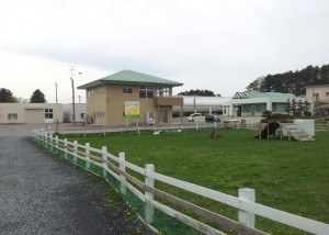2014-05-05 10.09.45-1