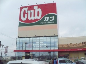 P1010177