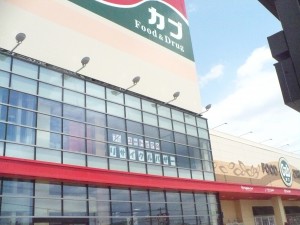 P1010466
