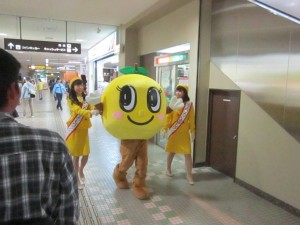 IMG_8790