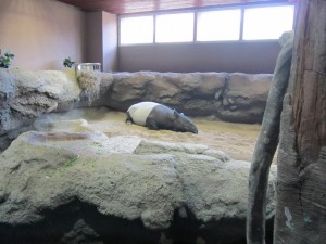 IMG_9030