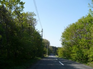 P1020033