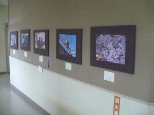 p1020273