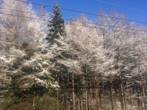img_2933