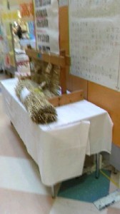 2017011616460001